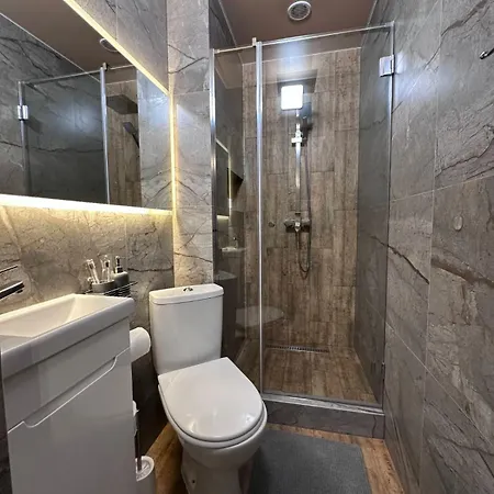 Apartment Brick House Slavske